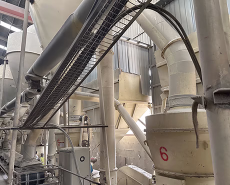 Bengkel pengeluaran pasir kucing bentonite automatik
